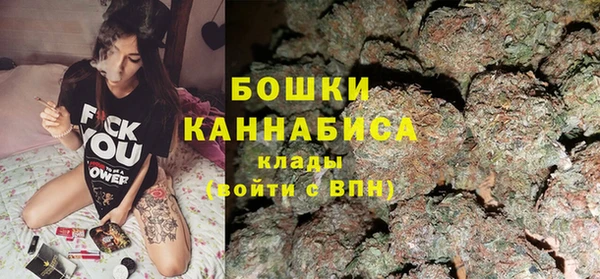 молекула духа Лабытнанги