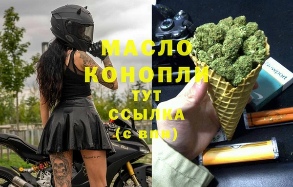 молекула духа Лабытнанги