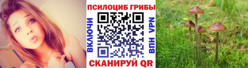 Галлюциногенные грибы Magic Shrooms Фрязино