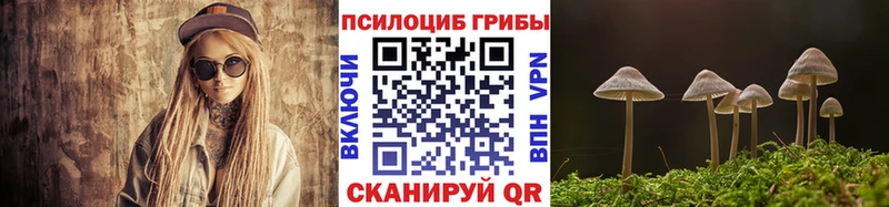 МЕГА зеркало  продажа наркотиков  Фрязино  Галлюциногенные грибы мухоморы 