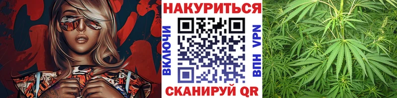 OMG маркетплейс  хочу наркоту  Фрязино  Марихуана ГИДРОПОН 